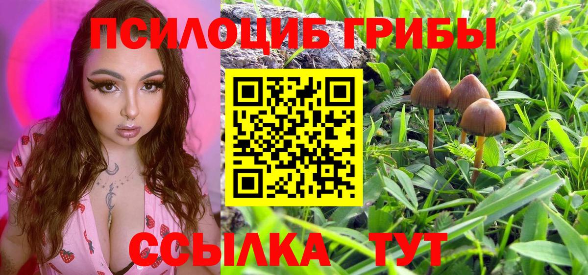 Псилоцибиновые грибы мицелий Полысаево